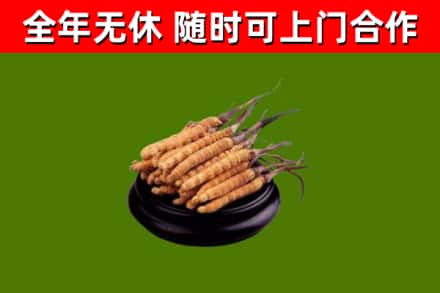 南县烟酒回收冬虫夏草.jpg